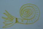 Swimming Ammonite