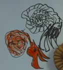 The best pair of ammonites!