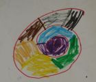 Best Colourful Ammonite