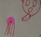 Best Jelly fish and Curious Turtle