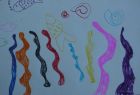The most colourful seaweed!
