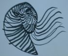 The best swimming nautilis