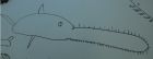 The best sawfish