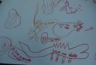 Singing Sea Creatures