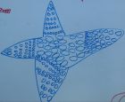 The best starfish