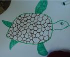 The best turtle