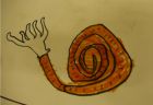 The best Nautilis