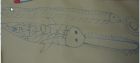The best sawfish!
