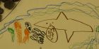 The Best Shark Eating Jellyfish