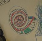 The best nautilus