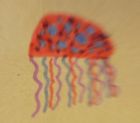 The most colourful jellyfish