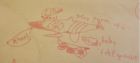 The best Ichthyosaur